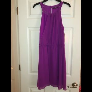 Gianni Bini purple mini dress